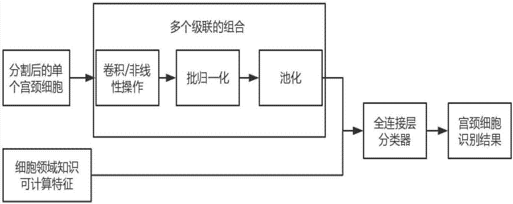 一種可解釋性的宮頸細(xì)胞圖像快速分級(jí)識(shí)別方法及系統(tǒng)與流程