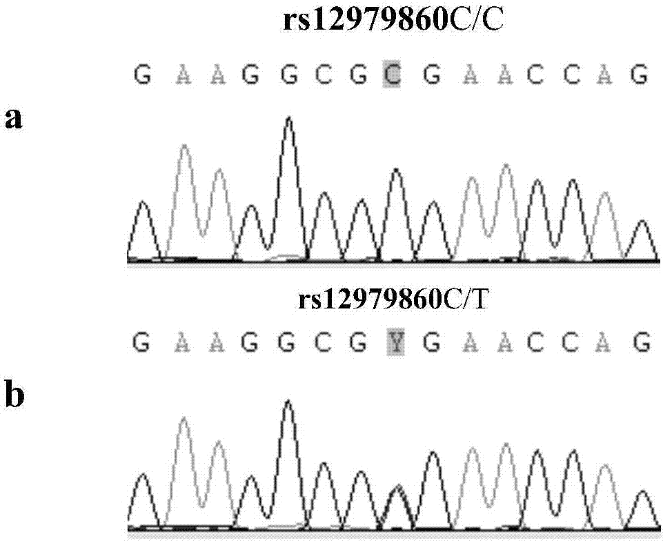 一种IL28B基因多态性检测试剂盒的制造方法与工艺