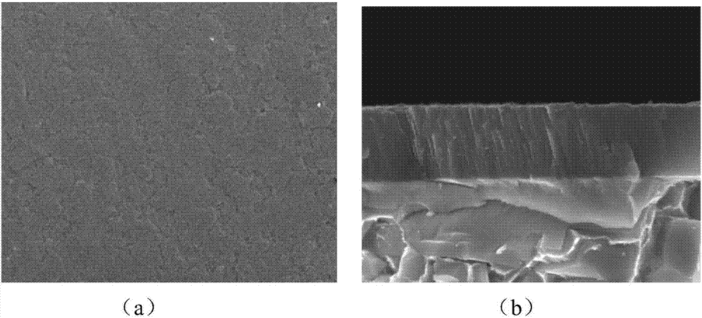 一種TiZrB2硬質(zhì)涂層及其制備方法和應(yīng)用與流程