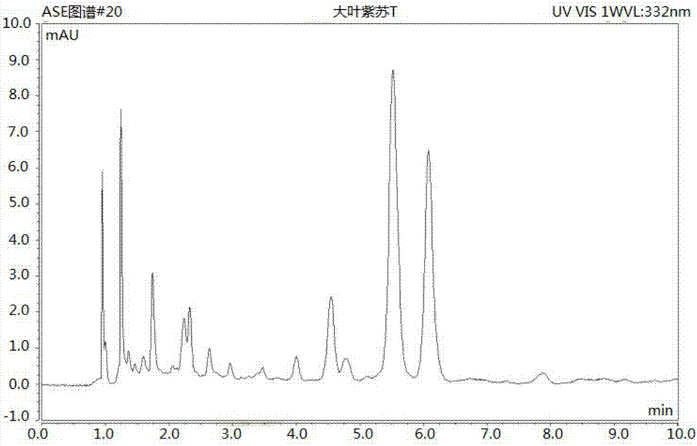 一種ASE?HPLC測定大葉紫珠中的毛蕊花糖苷含量的方法與流程