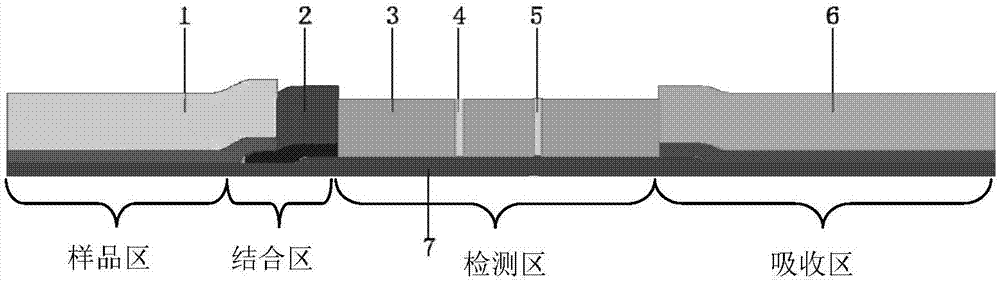 一種細胞因子免疫層析試紙及其制備方法與流程