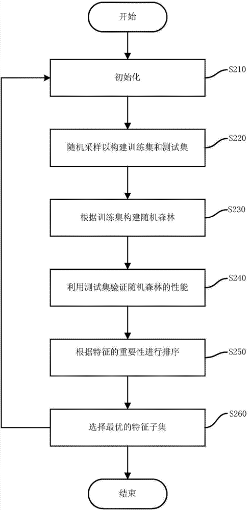 运动行为和认知能力的关联分析方法及系统与流程