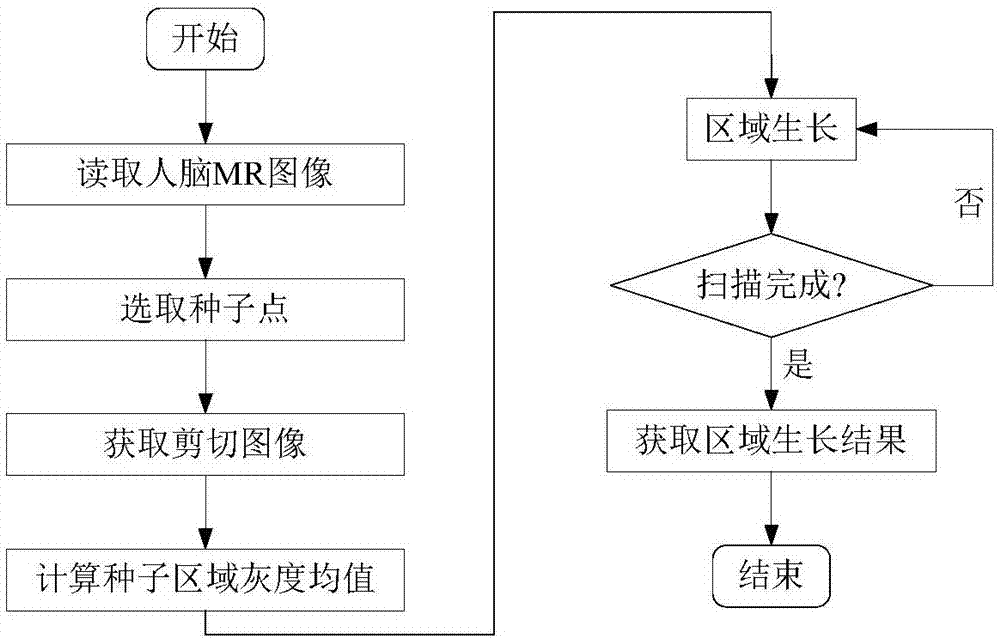 基于區(qū)域生長初始化的水平集海馬圖像分割方法與流程