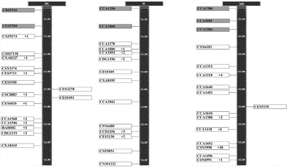 一種多跑道機(jī)場進(jìn)場航班多效能優(yōu)化排序方法與流程