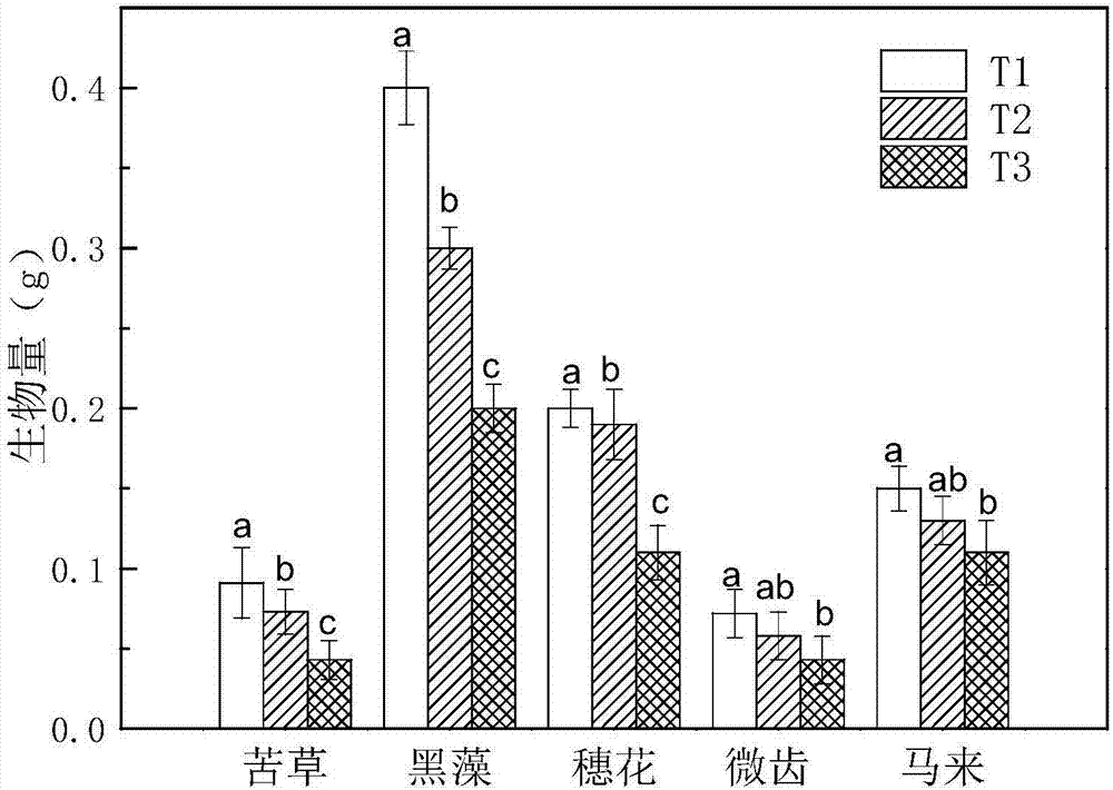 一种维护水文多变区域生物多样性稳定的方法与流程