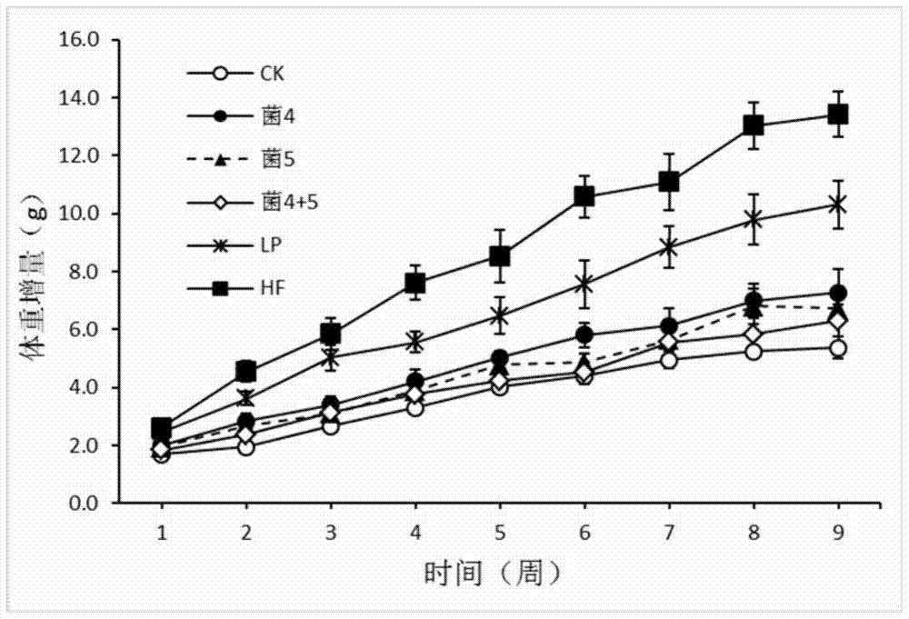 肠道益生杆菌在治疗和预防肥胖及其相关疾病中的应用的制造方法与工艺