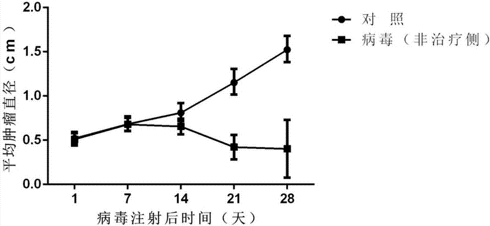 重组溶瘤II型单纯疱疹病毒在制备抗淋巴瘤、食道癌、乳腺癌、胰腺癌药物中的应用的制造方法与工艺