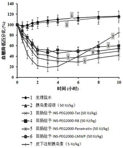 一种细胞穿膜肽胰岛素偶联物及其制备方法并应用与流程