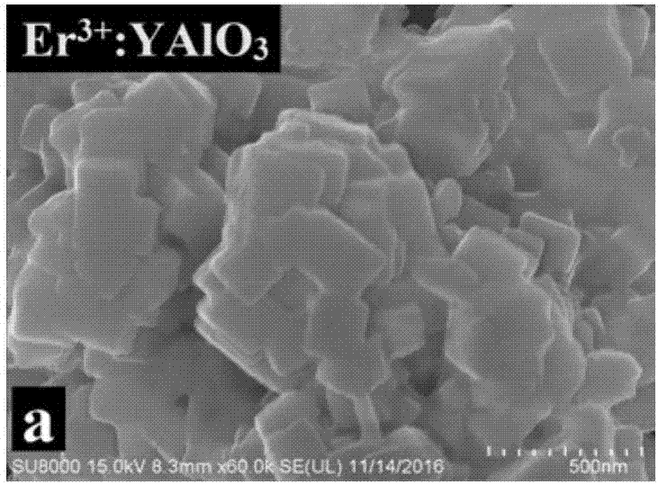 一種高效轉(zhuǎn)化水中Cr(VI)的催化劑及其制備方法和應(yīng)用與流程