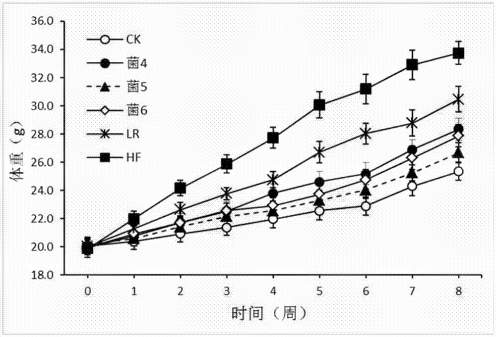 肠道益生菌在预防和/或治疗糖尿病及其相关疾病中的应用的制造方法与工艺