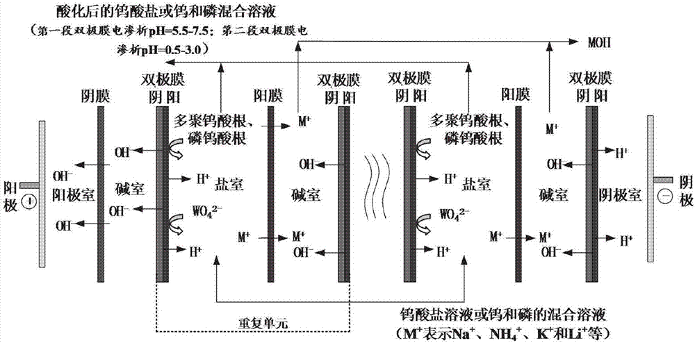 一種制備磷鎢雜多酸溶液的方法與流程