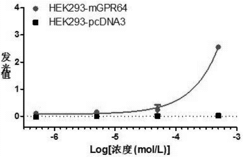 一种孤儿受体GPR64的配体多肽及其编码序列和应用的制造方法与工艺