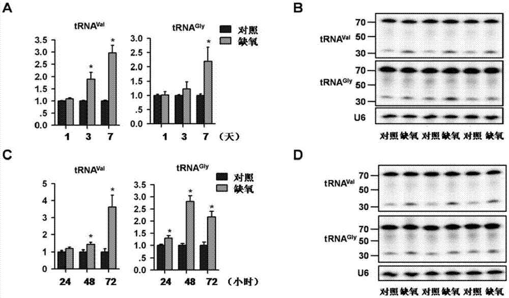 轉(zhuǎn)運(yùn)RNA片段及其應(yīng)用的制造方法與工藝