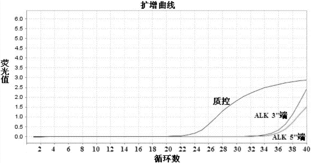 人类ALK基因表达的检测引物、探针及检测试剂盒的制造方法与工艺