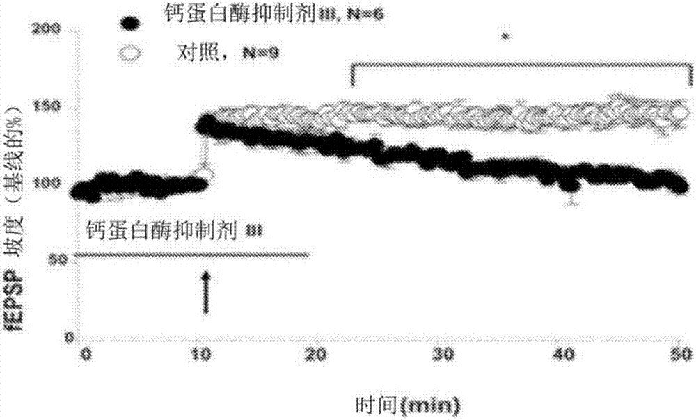 同種型特異性鈣蛋白酶抑制劑及其識別方法和用途與流程