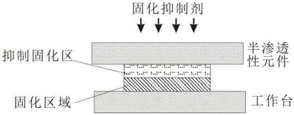 一種半滲透性元件及其應(yīng)用和制備方法及3D打印設(shè)備與流程