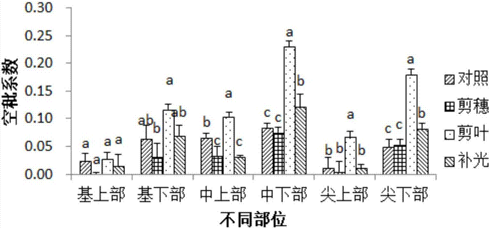 一种评价杂交谷子穗上空秕粒分布的方法与流程