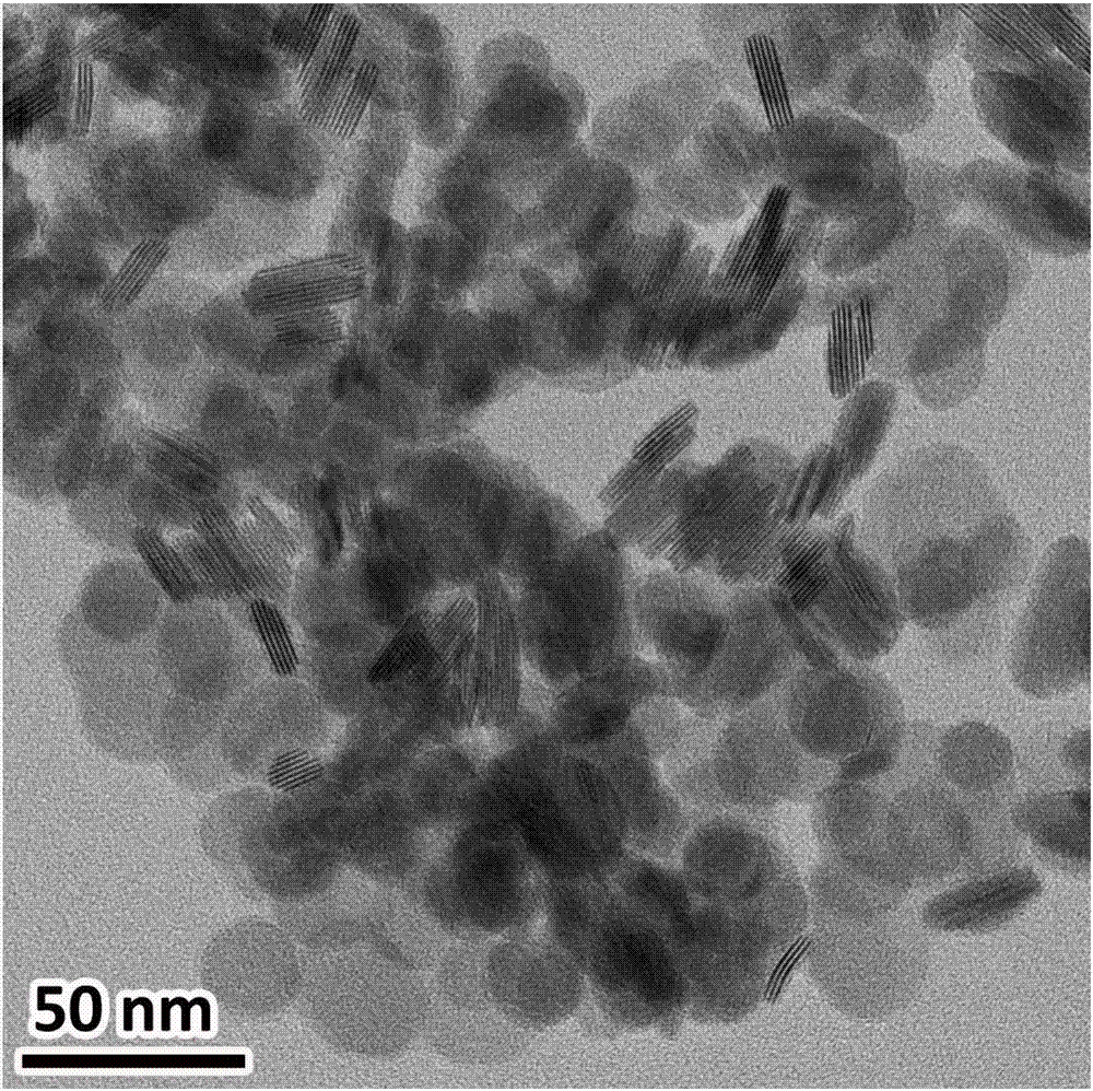 一种Ψ-型磷酸锆晶体纳米片及其制备和应用的制造方法与工艺