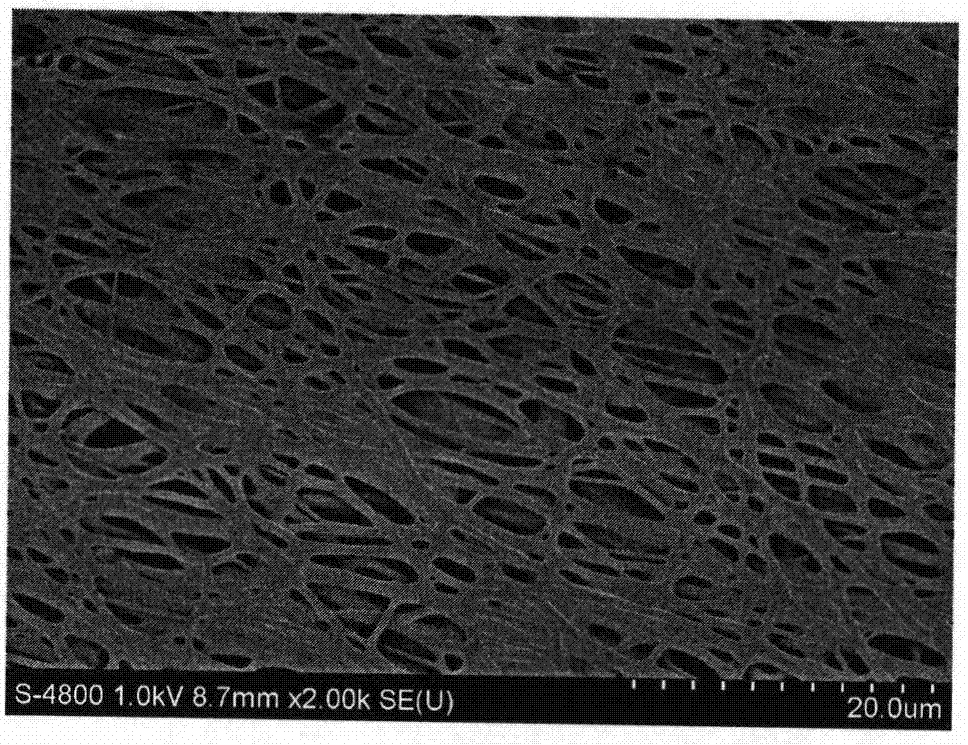 一种纤维素晶须增强木质素基碳纤维的制备方法与流程