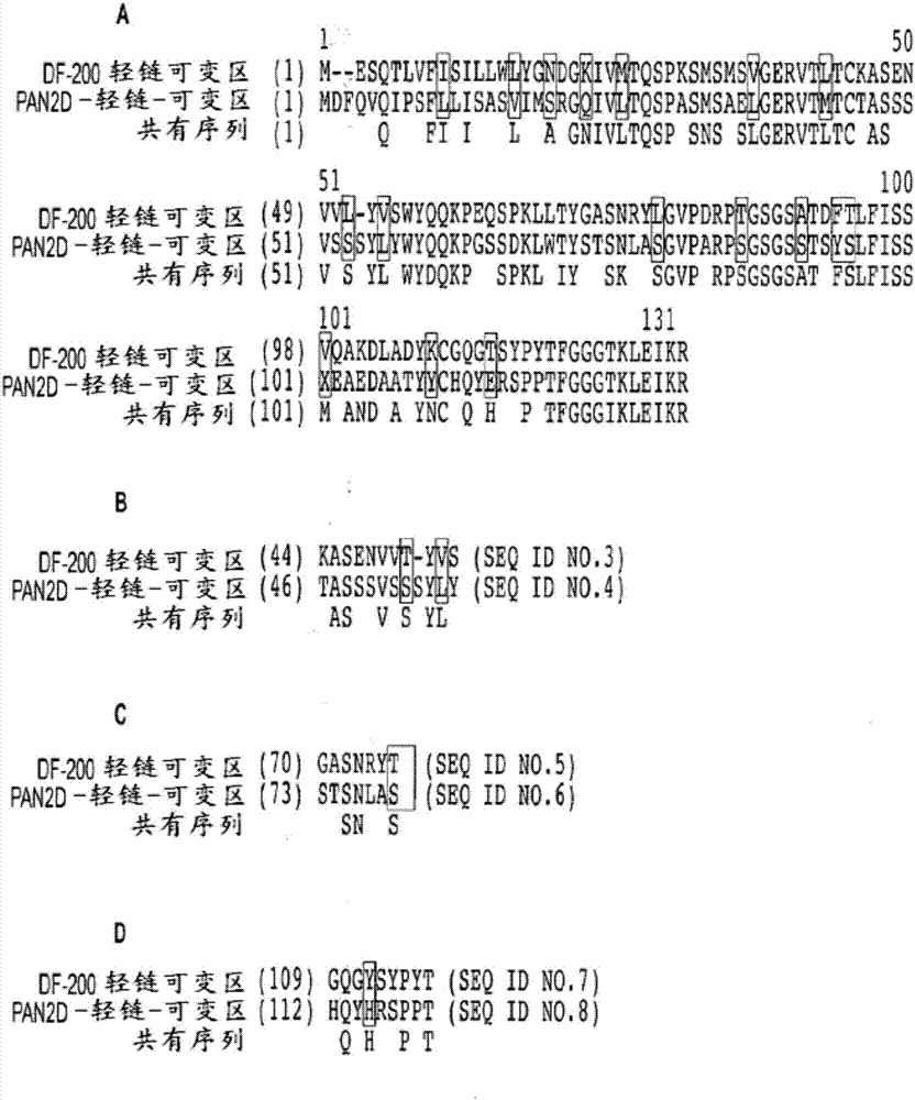 NK細胞調(diào)節(jié)治療和用于治療血液惡性疾病的方法與流程