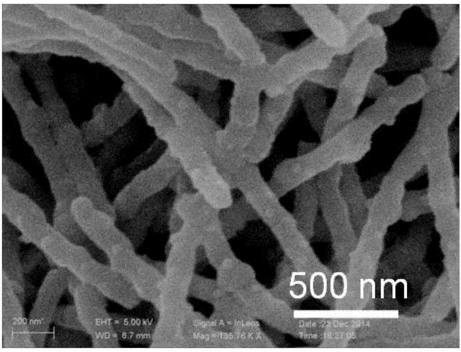 金属钼酸盐/碳复合纳米纤维及其制备方法以及复合材料及其应用与流程