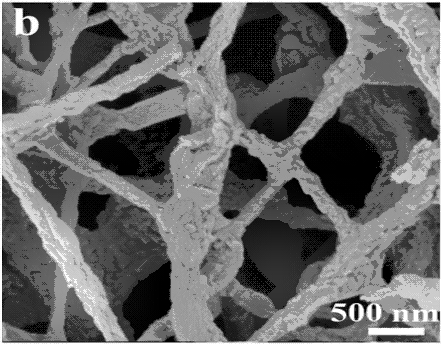 一种酞菁铜/γ‑钼酸铋复合纳米纤维光催化材料及其制备方法与应用与流程