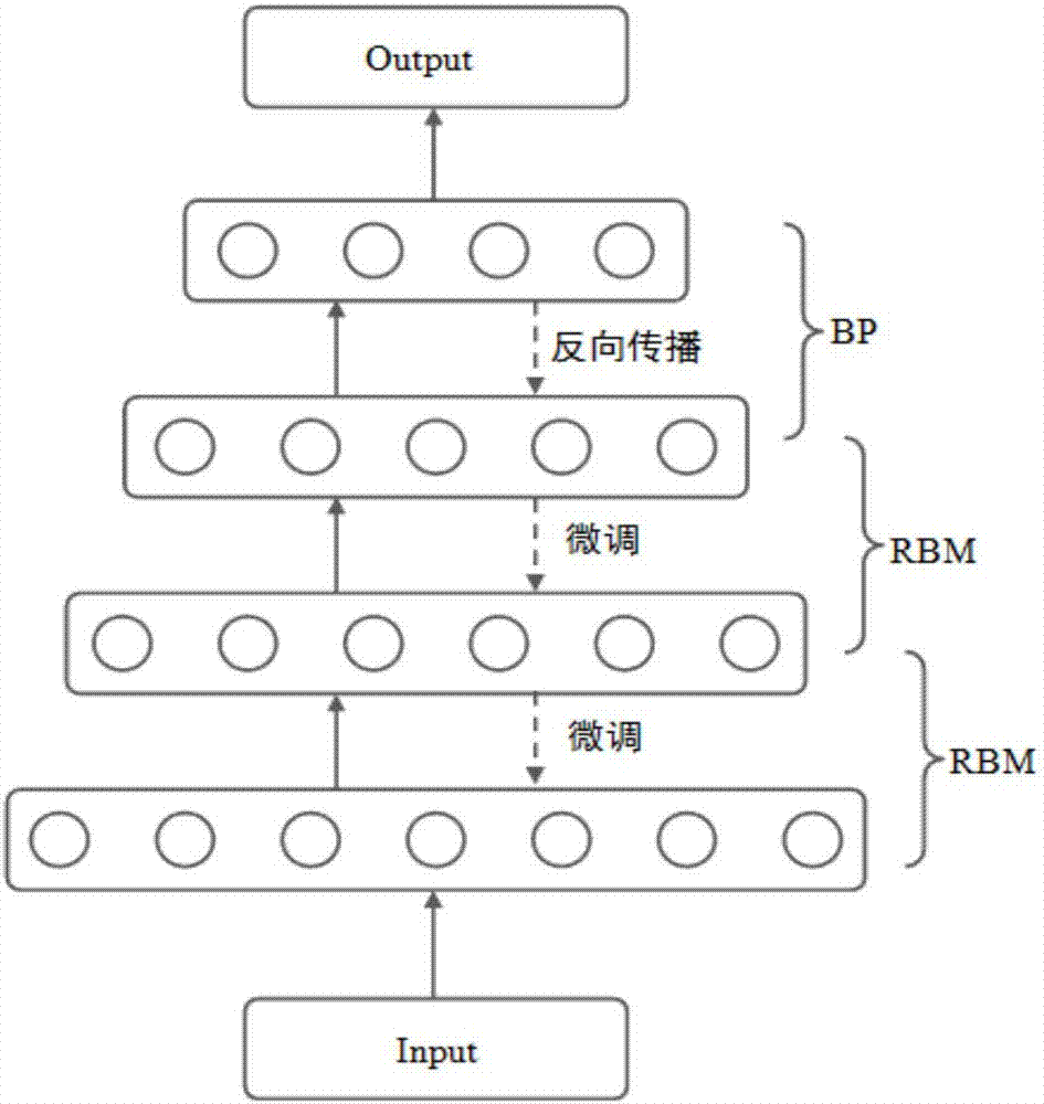 基于深度学习的锦鲤筛选方法及装置与流程