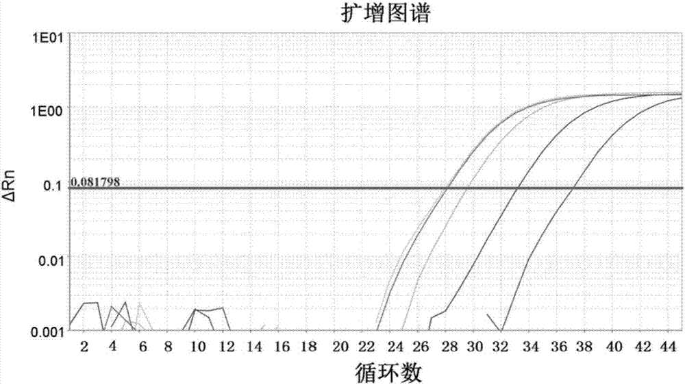 利用單拷貝核基因檢測(cè)食品和飼料中綿羊源性成分的實(shí)時(shí)熒光PCR檢測(cè)方法與流程