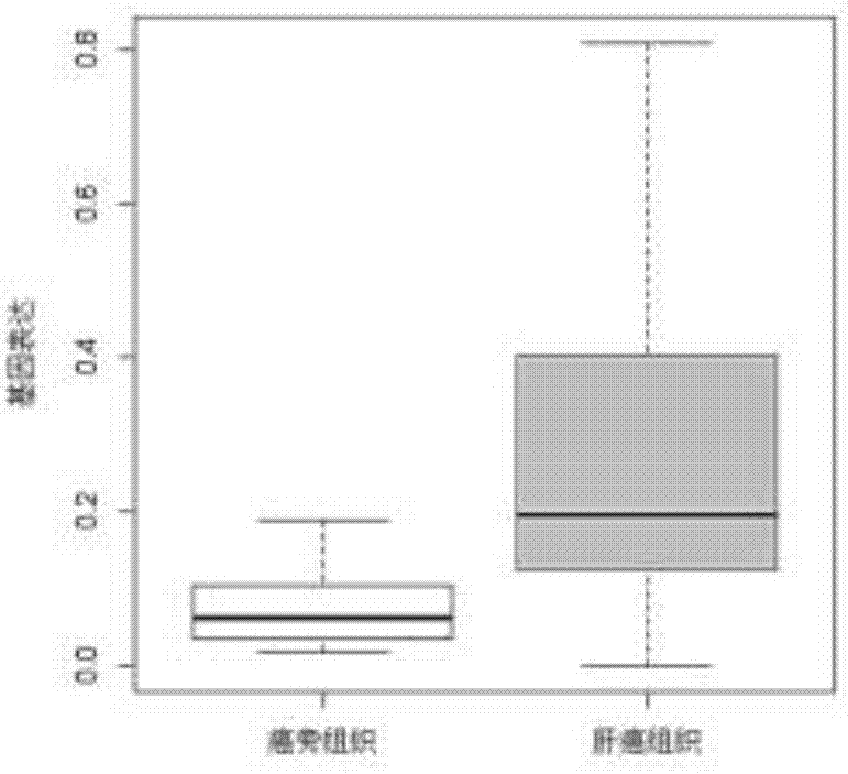 生物標(biāo)記物ENSG00000267416在癌癥中的應(yīng)用的制造方法與工藝