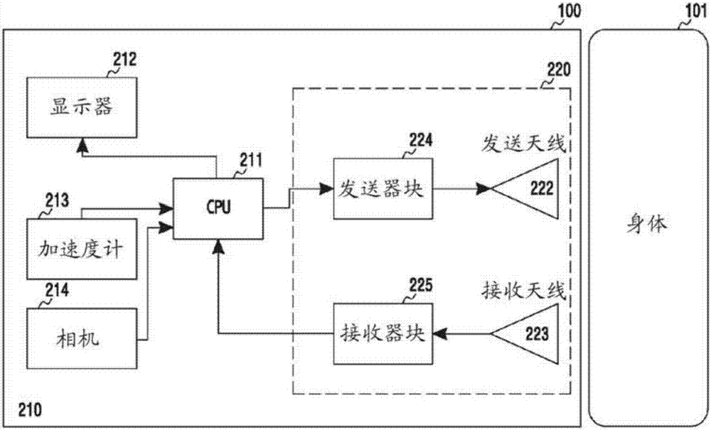 用于在電子設備中分析身體組織層的裝置和方法與流程