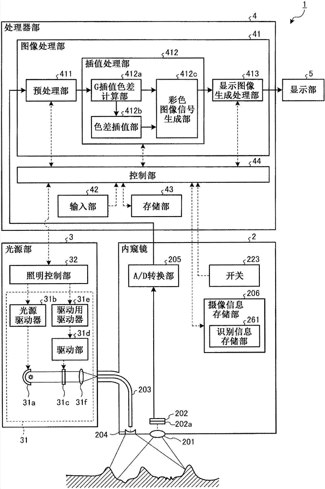 圖像處理裝置、圖像處理方法、圖像處理程序以及內(nèi)窺鏡裝置與流程