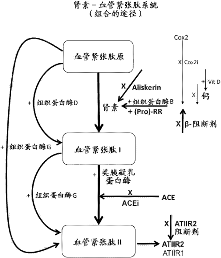 癌症诊断和治疗的制造方法与工艺