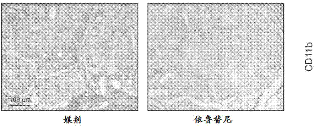 治療纖維化的方法與流程