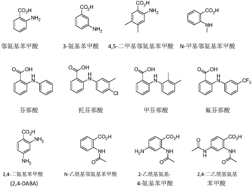 羥嗎啡酮的苯甲酸綴合物、苯甲酸衍生物綴合物和雜芳基羧酸綴合物、其前藥、制備和使用方法與流程