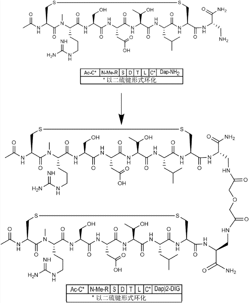 新颖α4β7肽单体和二聚体拮抗剂的制造方法与工艺