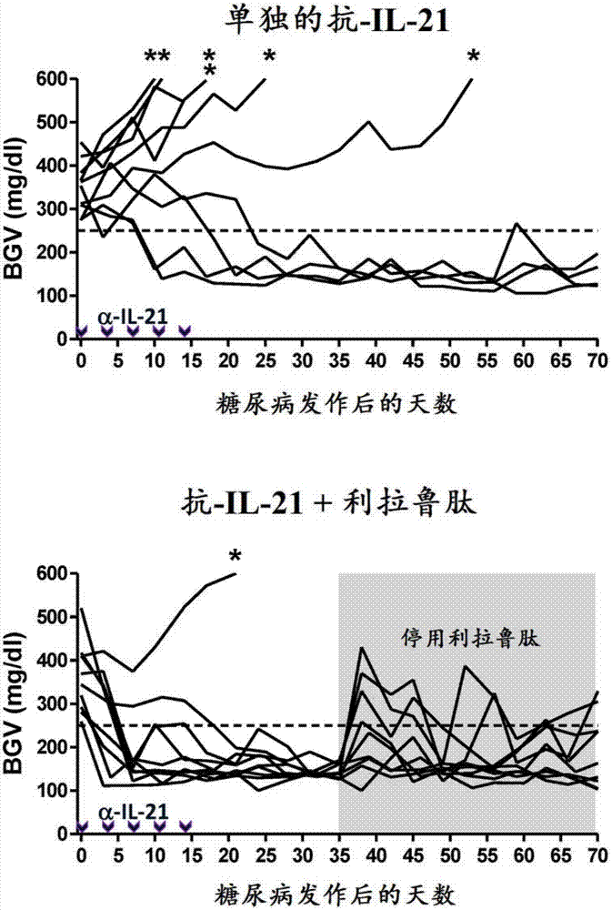 使用GLP?1和抗?IL?21對1型糖尿病的治療的制造方法與工藝