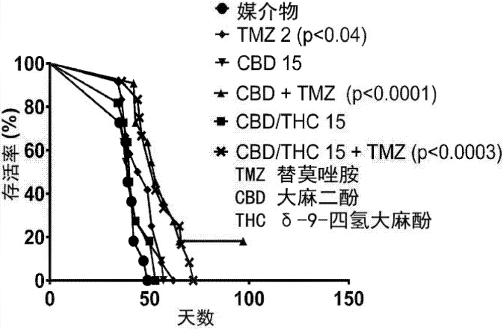 稳定的大麻素类化合物制剂的制造方法与工艺