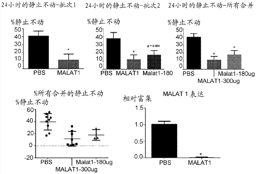 非編碼RNA MALAT?1是調(diào)控學(xué)習(xí)和記憶的靶標(biāo)的制造方法與工藝