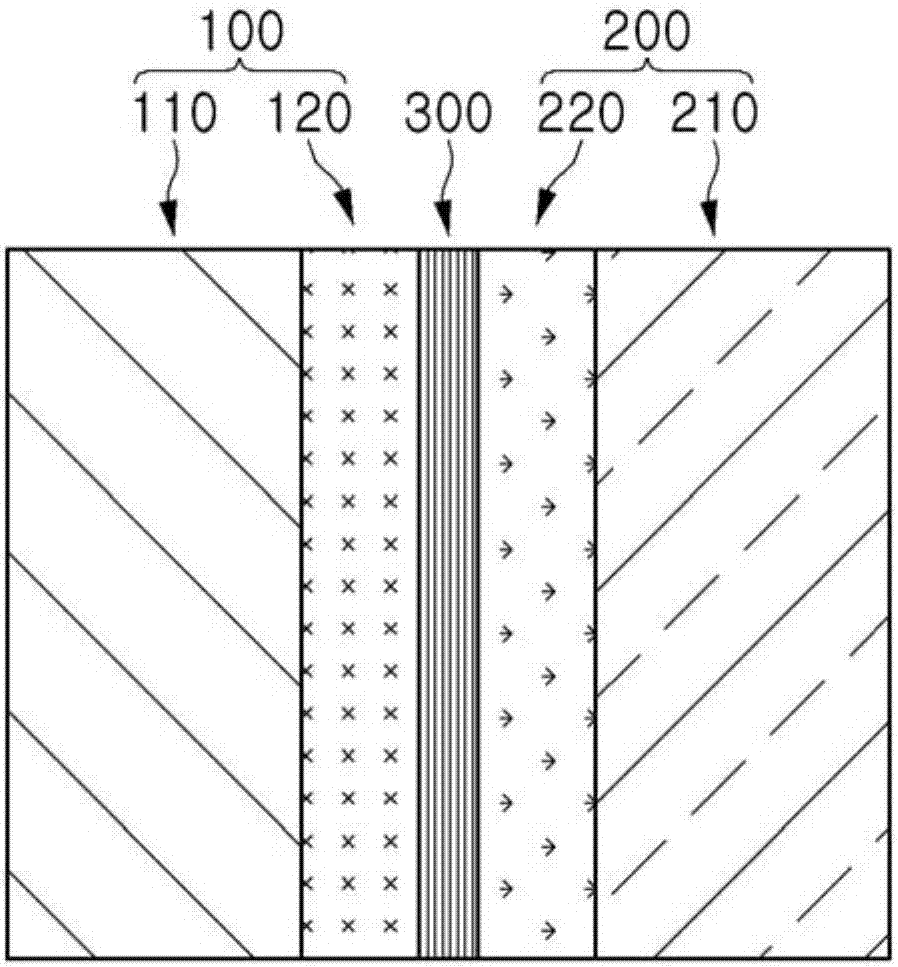 两极离子交换板和其制造方法与流程