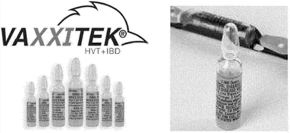 用于对存储在低至‑200℃的温度的小瓶或安瓿加标签的装置和方法与流程