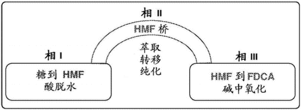 用于将糖直接转化成呋喃二羧酸的三相体系的制造方法与工艺