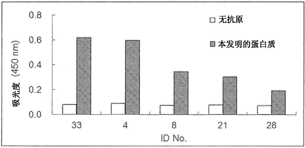 新型粉尘螨蛋白质的制造方法与工艺