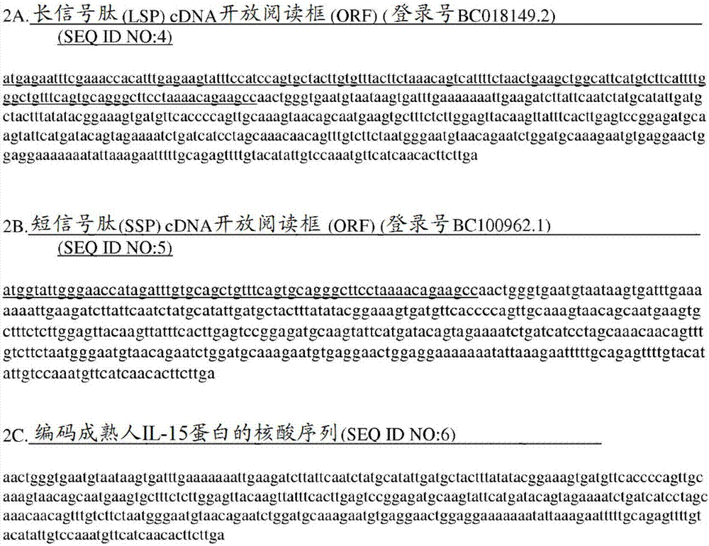 白細胞介素?15組合物及其用途的制造方法與工藝