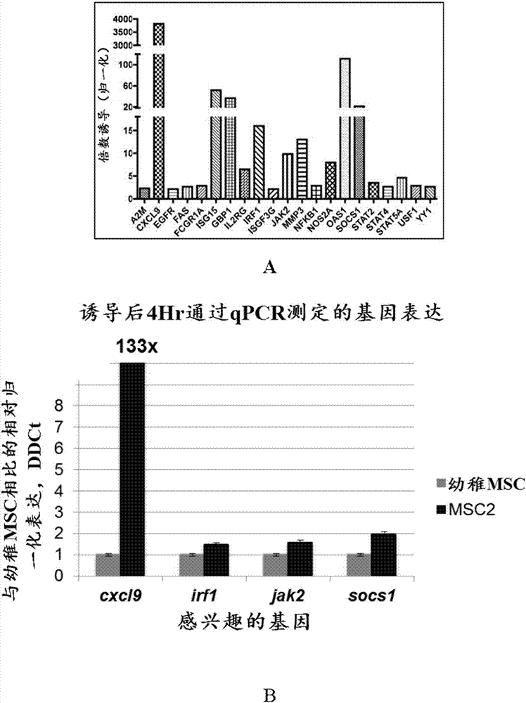 用于干細(xì)胞培養(yǎng)和治療的誘導(dǎo)培養(yǎng)基和方法與流程