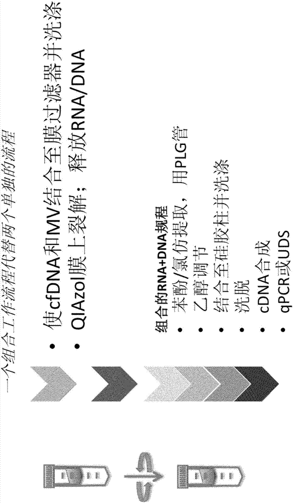 從生物樣品中分離微泡和提取核酸的方法與流程