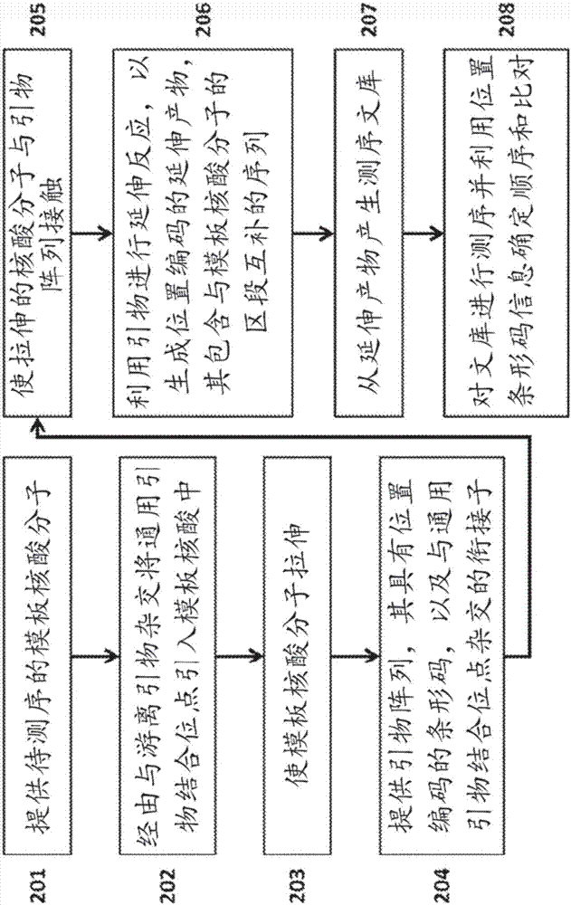 核酸測(cè)序方法與流程