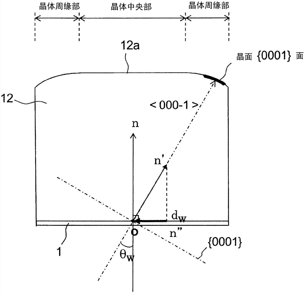 碳化硅單晶的制造方法及碳化硅單晶基板與流程