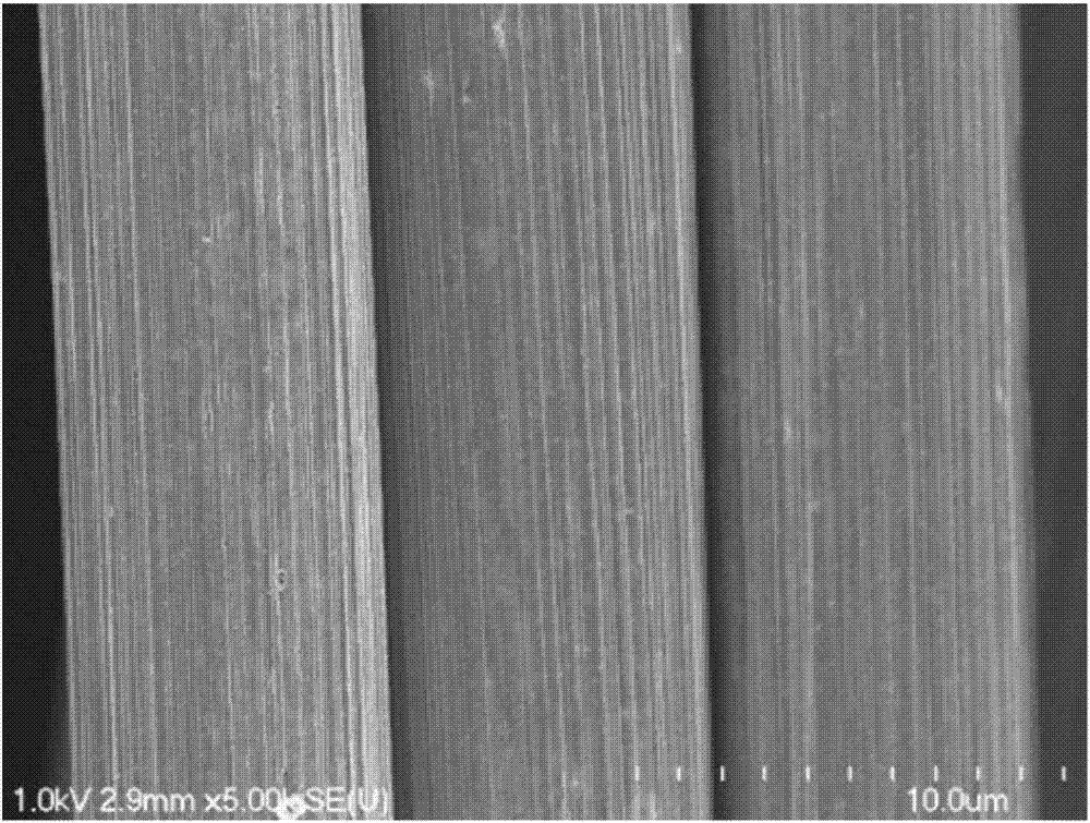 碳纖維前體纖維、碳纖維及碳纖維的制造方法與流程