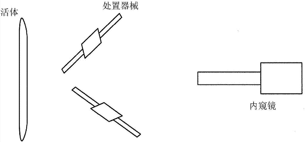 對(duì)焦控制裝置、內(nèi)窺鏡裝置以及對(duì)焦控制裝置的控制方法與流程