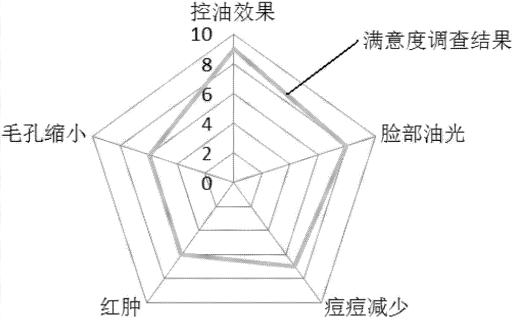 一種含控油淀粉顆粒的雙層水劑及其制備方法與流程